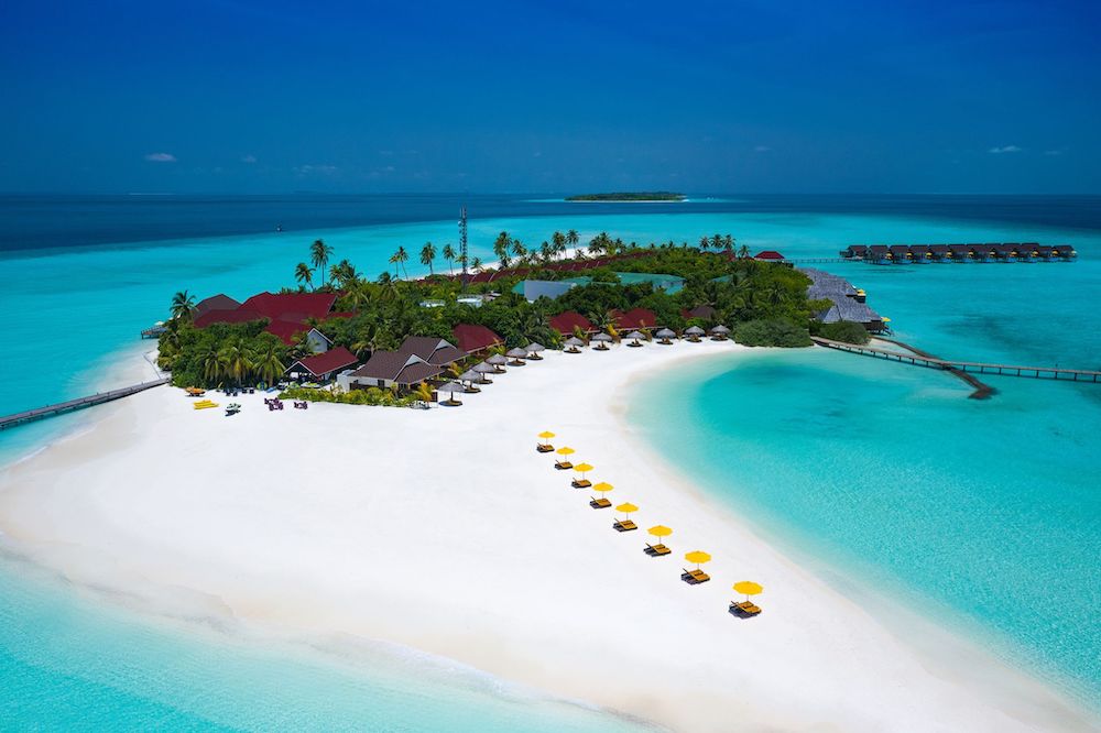 Dhigufaru Island Resort photo 2